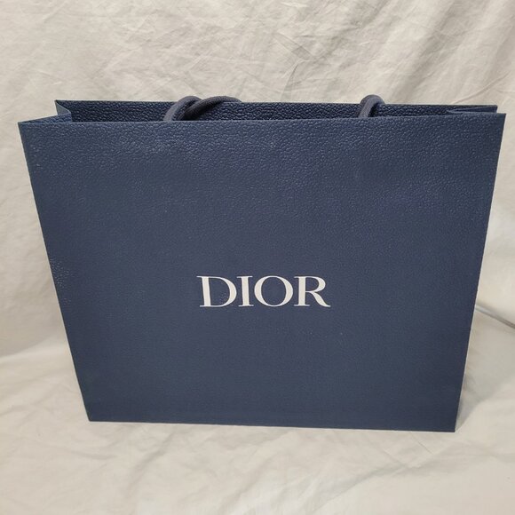Dior Blue Textured Gift Bag Empty Logo Spell Out Bug Reusable Decorative Craft - Picture 5 of 15